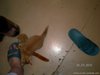 x_b0606f6f