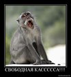 1277818389_161806_svobodnaya-kasssssa