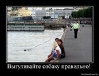 1278593881_390906_vyigulivajte-sobaku-pravilno