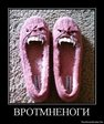 1305029105_902740_vrotmnenogi
