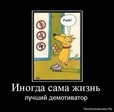 1275903774_868568_inogda-sama-zhizn