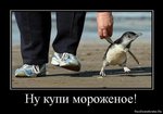 1282842965_776381_nu-kupi-morozhenoe
