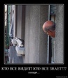 1304764654-kto-vse-vidit-kto-vse-znaet