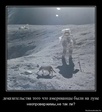 1306069175-dokazatelstva-togo-chto-amerikancy-byli-na-lune