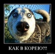 x_a655cd0f