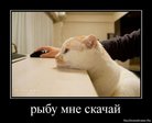 1305029466_714545_ryibu-mne-skachaj