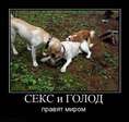 ыы)