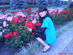 DSC00924