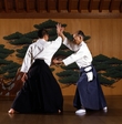 aikido1