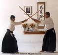 hoa%20newens%206th%20dan%20at%20Reno%20Aikido%20CoOp,%20uke%20Peter%20Slote%204th%20dan1