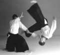 1284037417_aikido