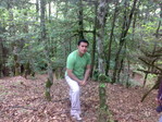getImage