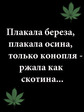 Konoplja[1]