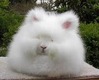 images (4)