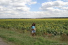 DSC02380