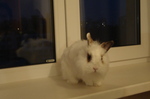 DSC04454