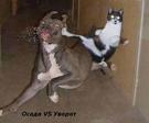 ТАНК vs УВОРОТ))