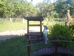 IMAG0756