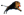 BOR
