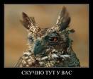 скучно