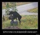 обман