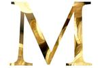 M 2[5]