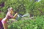 Полеваю)