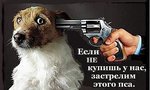 x_fe0c49d5