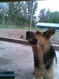 Image019