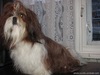 мое солнце