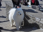 DSCN1170