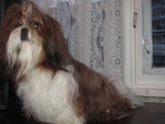мое солнце