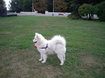 image (2)