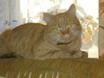 Images-0015 (32)