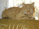 Images-0015 (31)