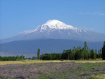 armenia_01_ararat[1]