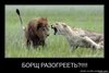 в точку про меня )