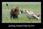 в точку про меня )