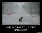 x_0c8b5867