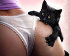 getImage