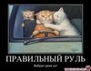 1367914477_784661_pravilnyij-rul_demotivators_ru