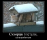 котЭ
