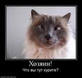 курите