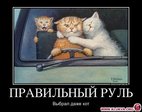 1367914477_784661_pravilnyij-rul_demotivators_ru