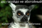 узбагойся