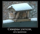 котЭ