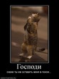 0_4455a_9d4669b0_XL