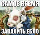 PwQ0ZsDplsk