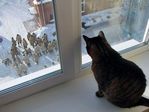 он