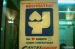 жопа
